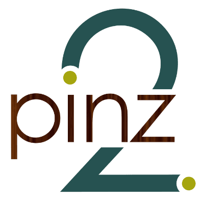 2pinz logo
