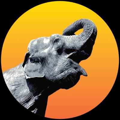 Radiant Elephant logo