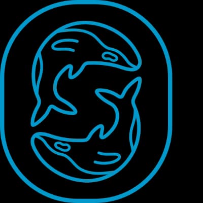 Salt Water Digital logo