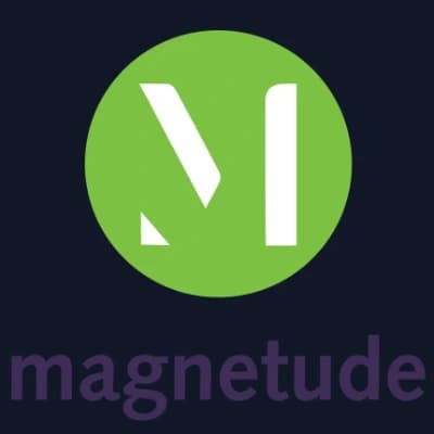 Magnetude Consulting logo