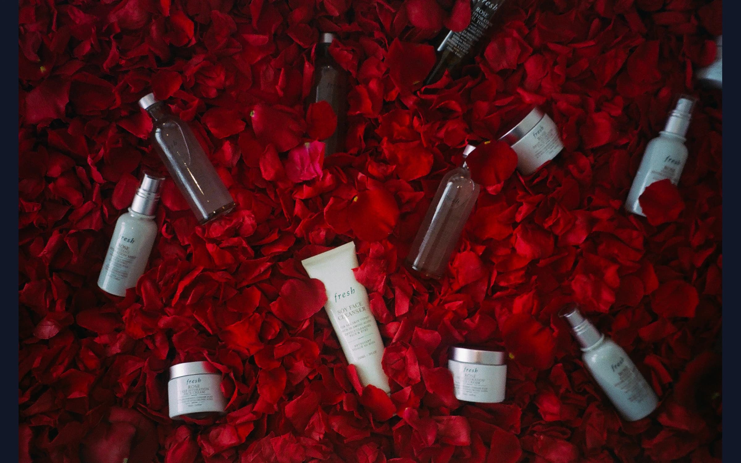 Not Your Ordinary Rose