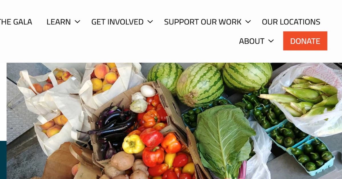 Redesign for Food Rescue US website and brand application