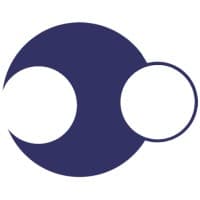 Digital Mettle logo